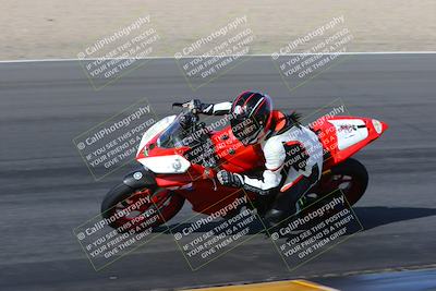 media/Feb-04-2023-SoCal Trackdays (Sat) [[8a776bf2c3]]/Turn 6 Inside (1025am)/